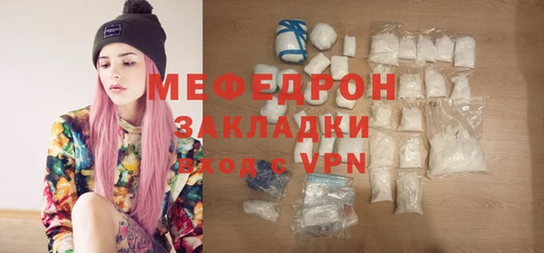 индика Козельск