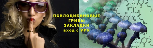 индика Козельск