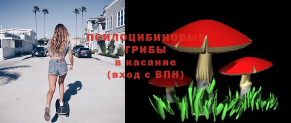 ПСИЛОЦИБИНОВЫЕ ГРИБЫ Киренск
