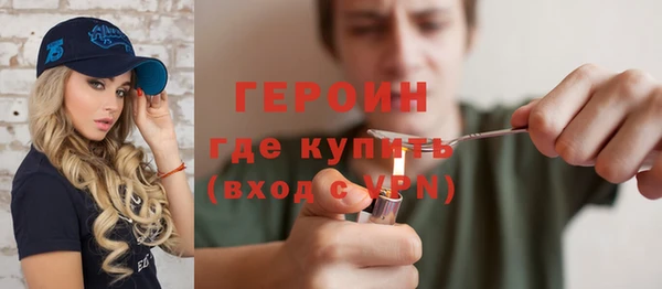 индика Козельск