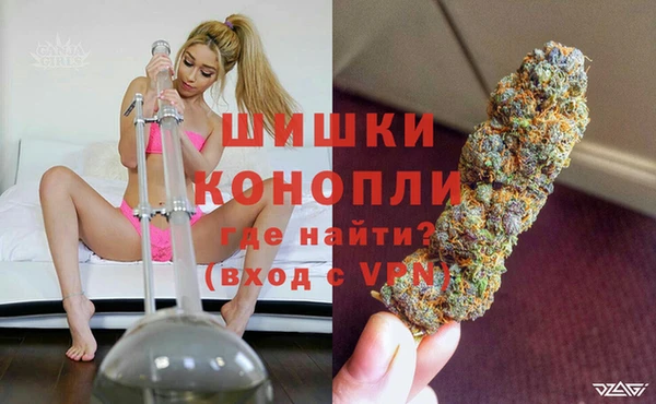 индика Козельск