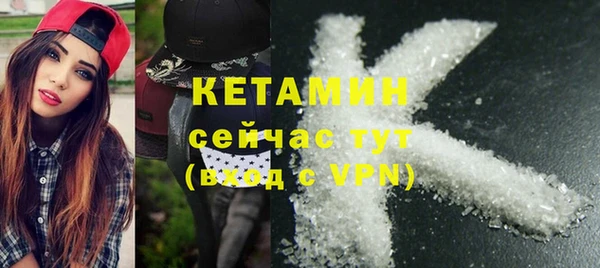 индика Козельск