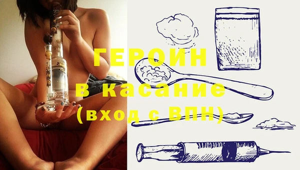 индика Козельск