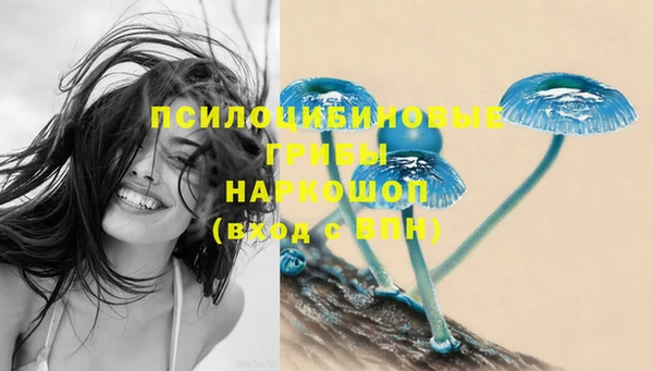 индика Козельск