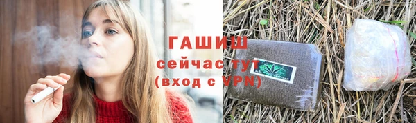 индика Козельск
