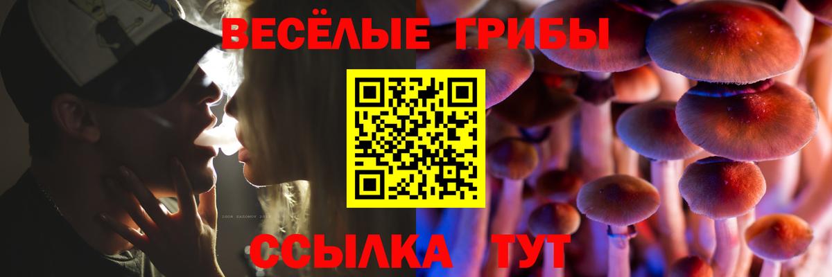 где можно купить   Вход с VPN  Кудымкар  Псилоцибиновые грибы ЛСД 