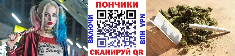 Бошки марихуана SATIVA & INDICA  дарнет шоп  Кудымкар 